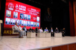 panel 009