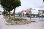 km park 003