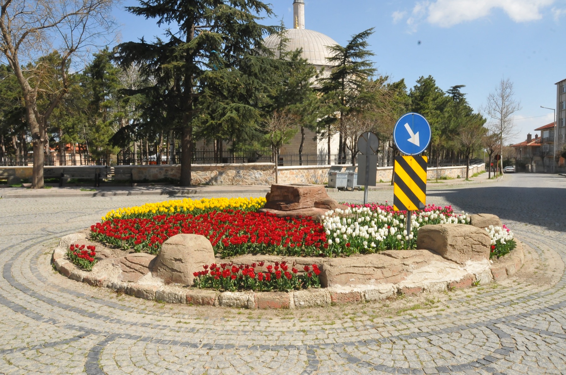 Ciceklerle aksehir 005