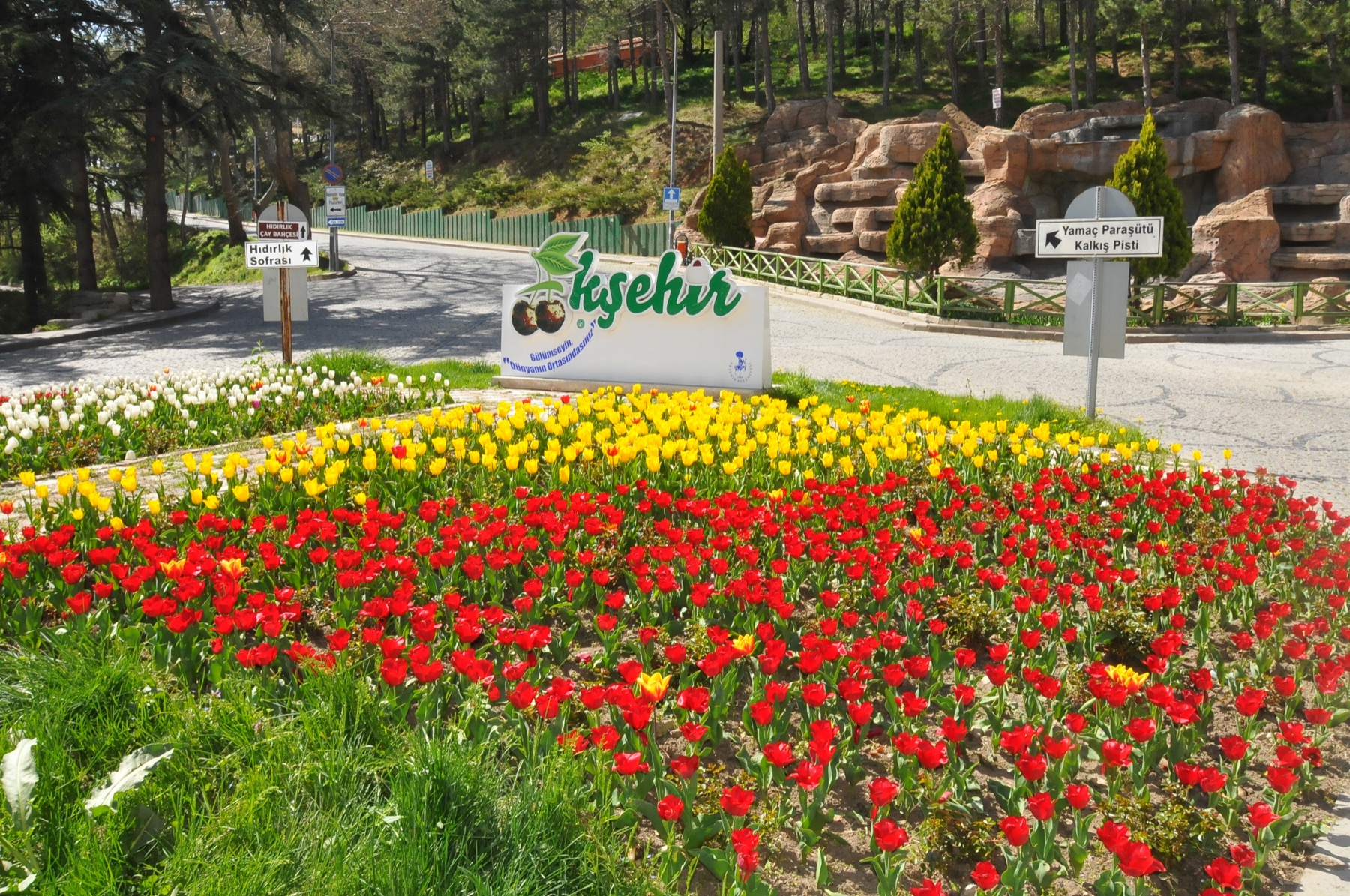 Ciceklerle aksehir 006