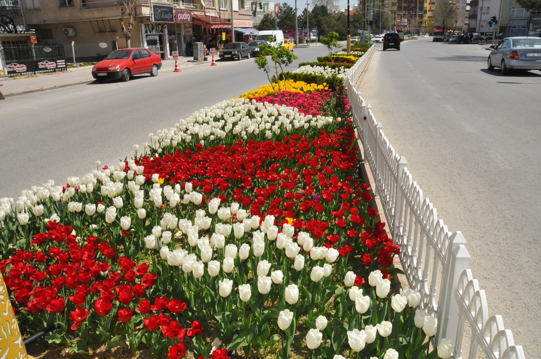 Ciceklerle aksehir 007