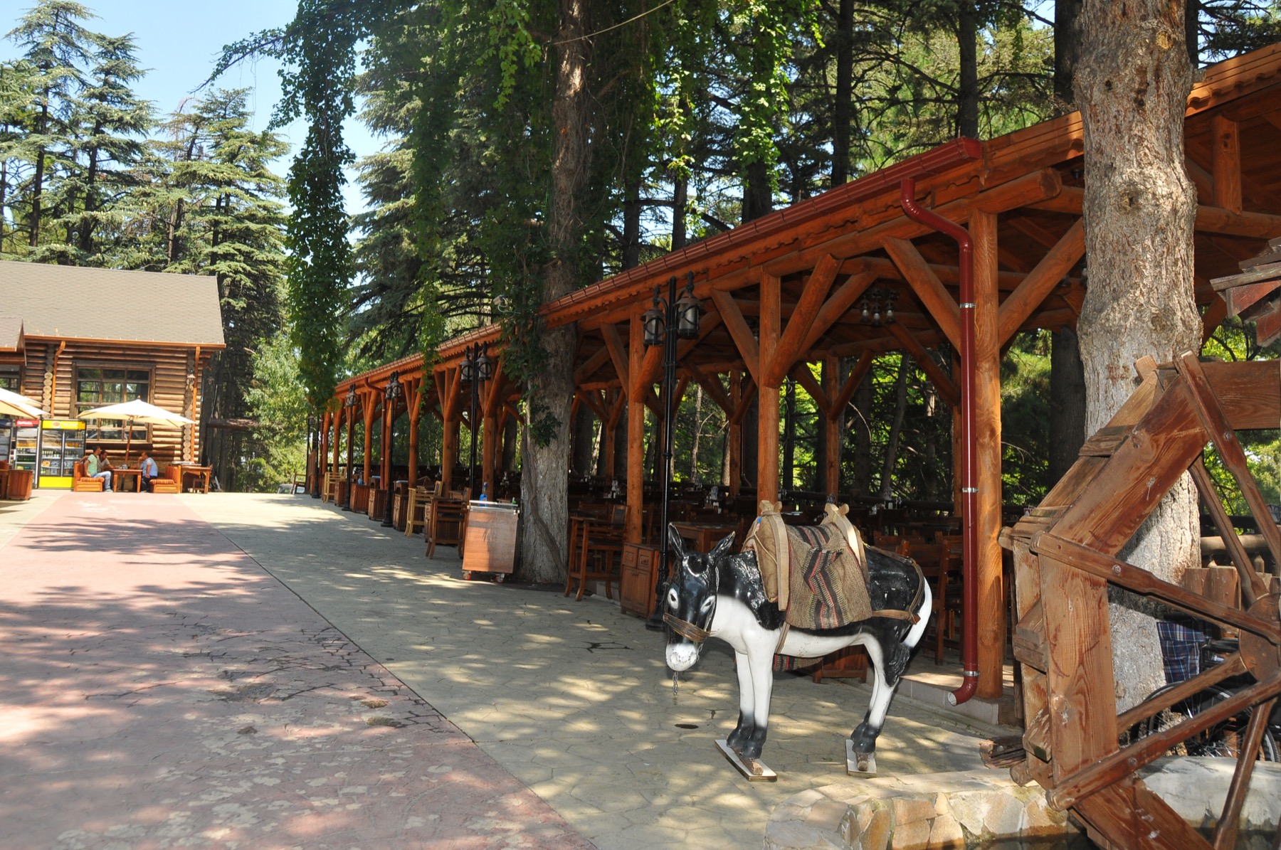 Hidirlik sofrasi 010